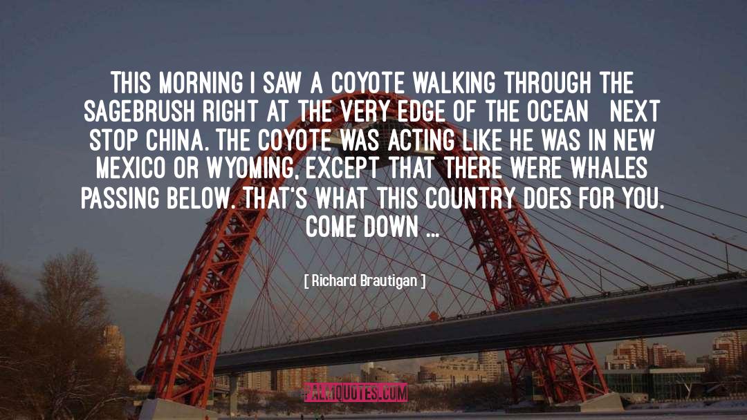 Leaving California Satire quotes by Richard Brautigan