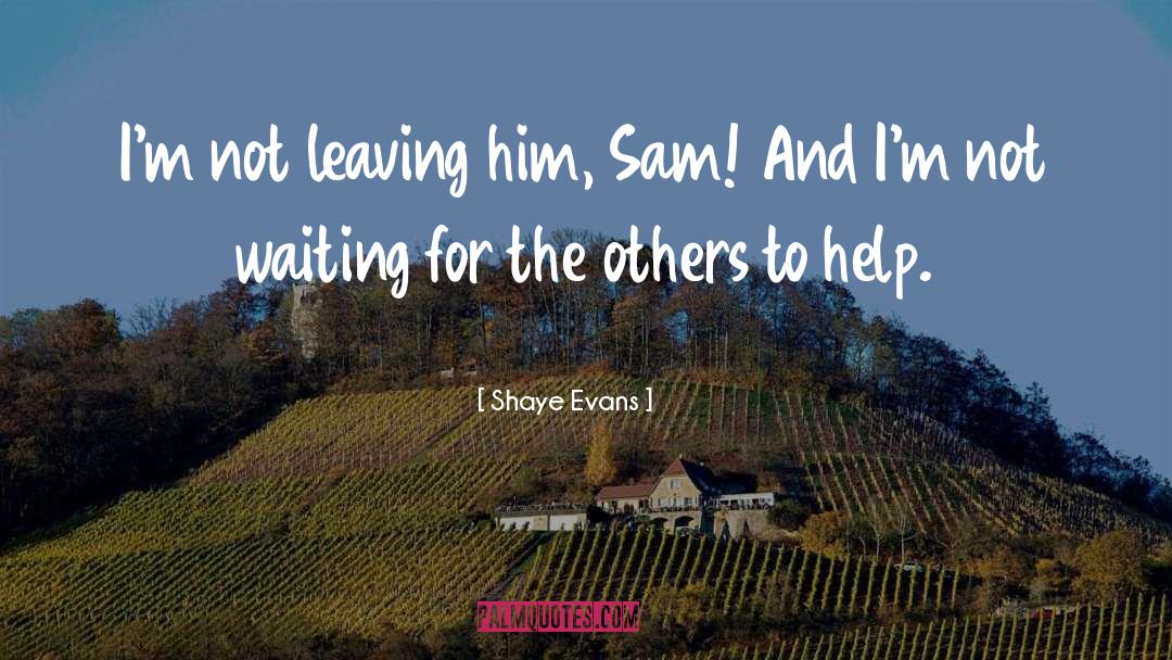 Leaving Him quotes by Shaye Evans