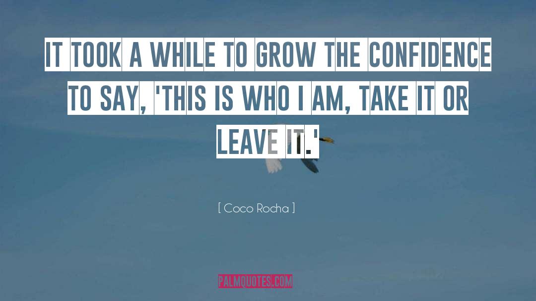 Leaving The Past quotes by Coco Rocha