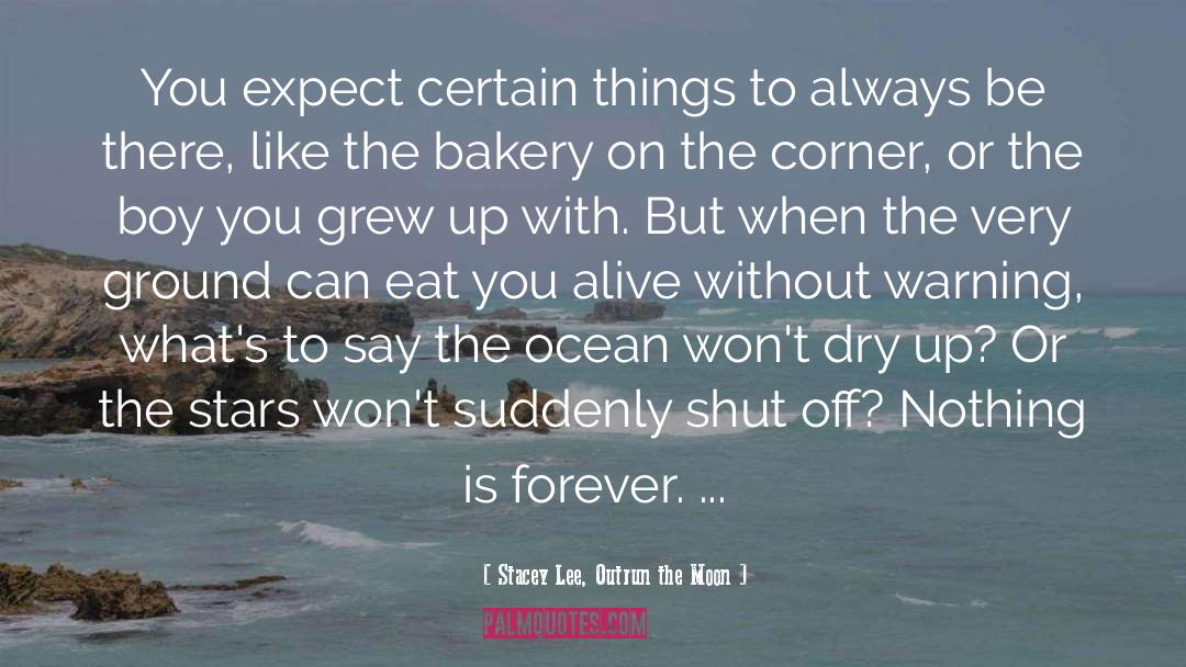 Lecaros Bakery quotes by Stacey Lee, Outrun The Moon