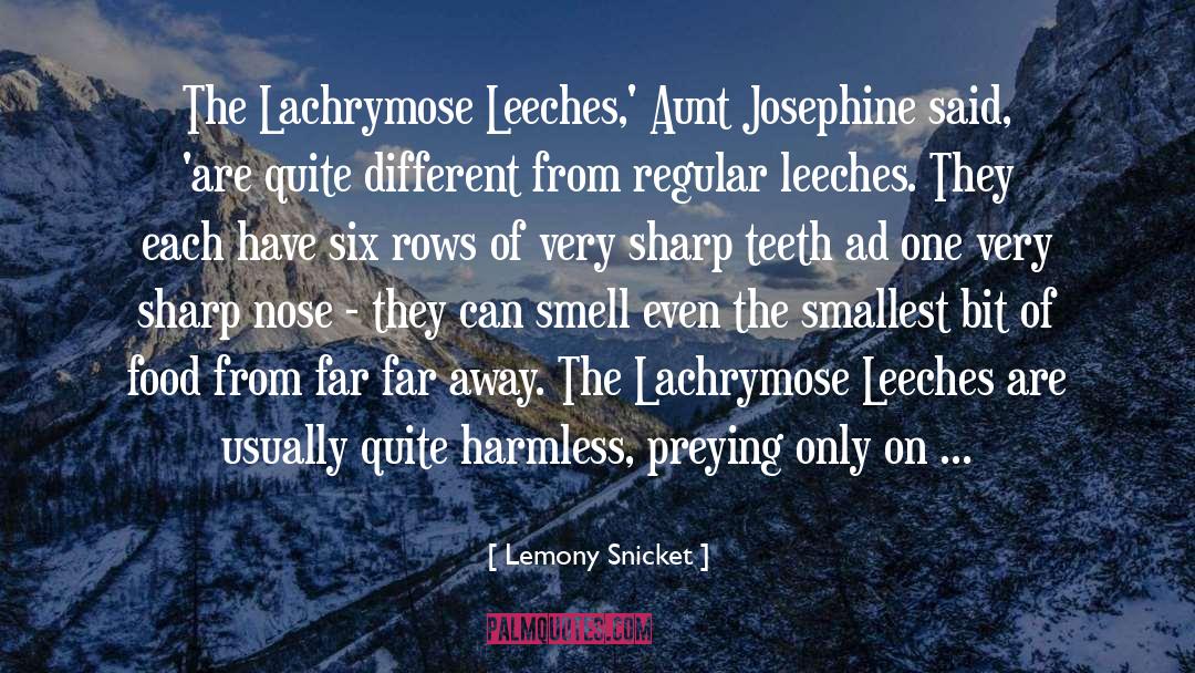 Leeches quotes by Lemony Snicket