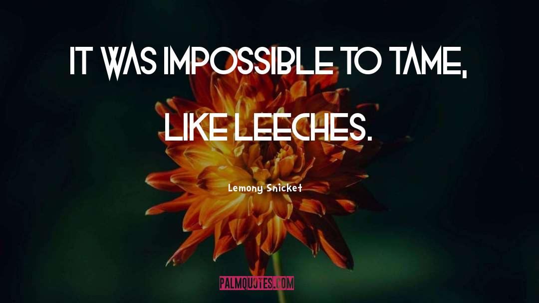 Leeches quotes by Lemony Snicket