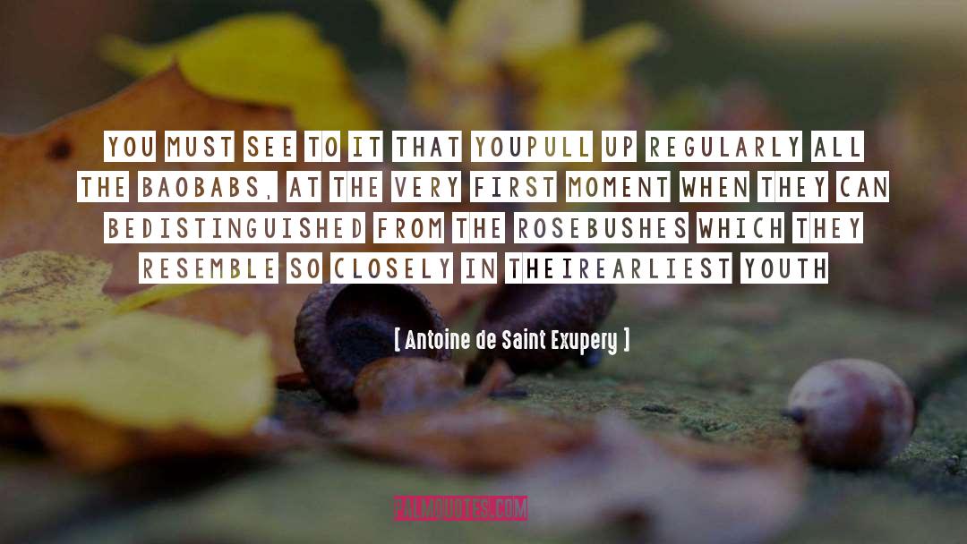 Leendert De Ridder quotes by Antoine De Saint Exupery