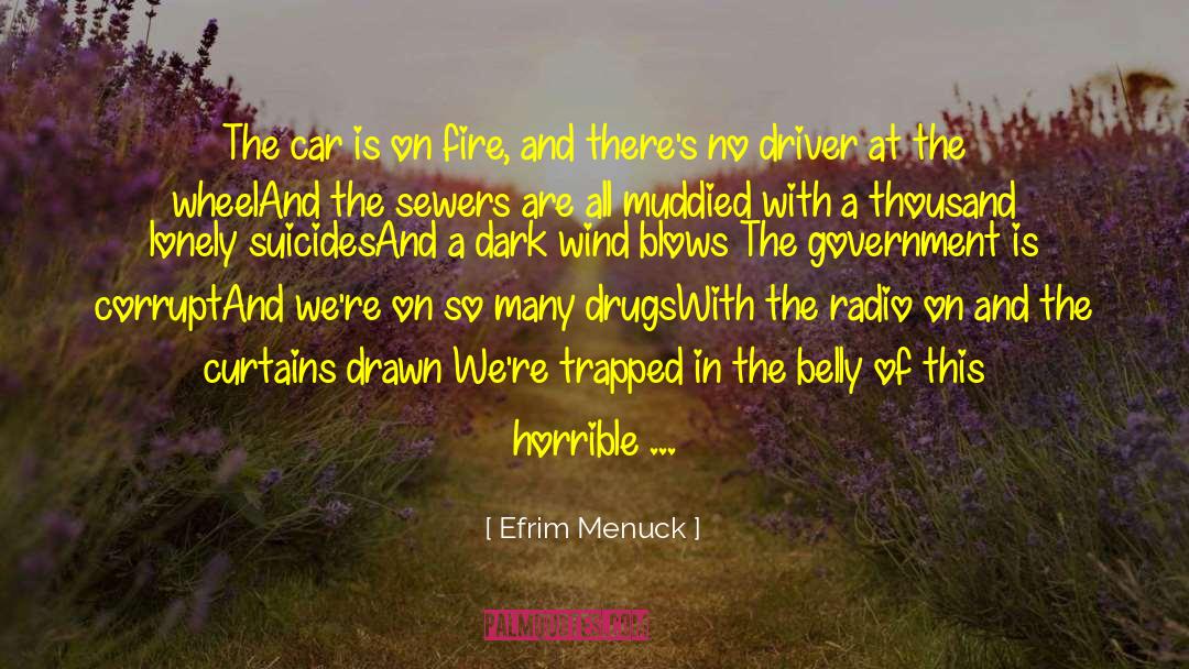 Leering quotes by Efrim Menuck