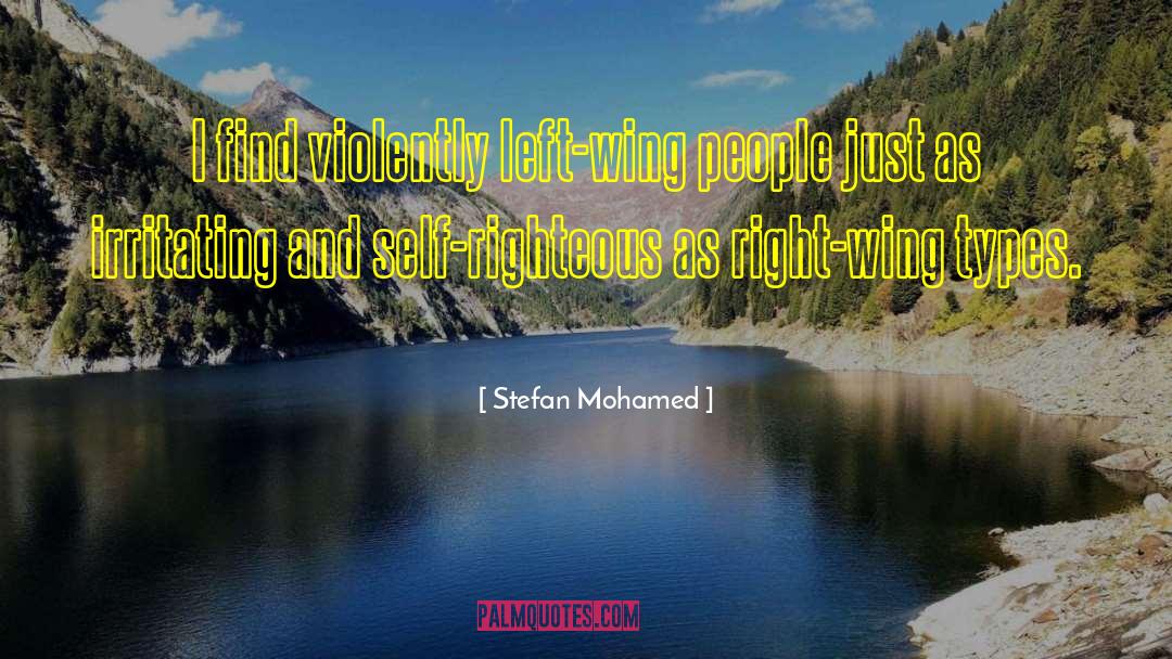 Left Wing Politics quotes by Stefan Mohamed