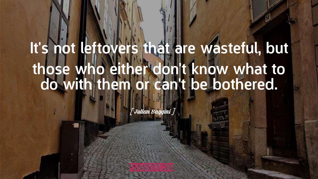 Leftovers quotes by Julian Baggini