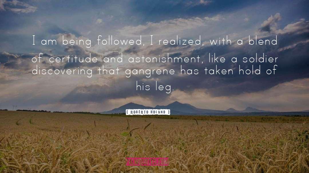 Leg quotes by Roberto Bolano