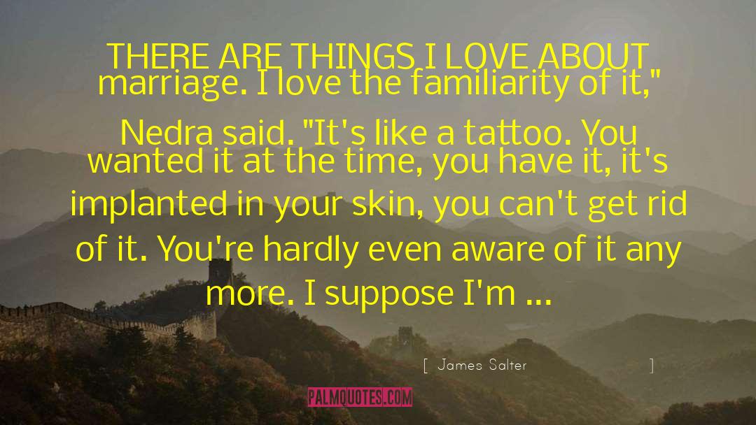 Leg Tattoo quotes by James Salter