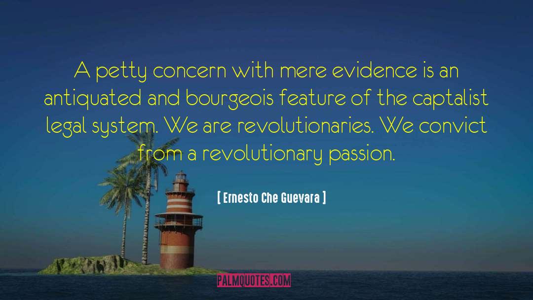 Legal System quotes by Ernesto Che Guevara