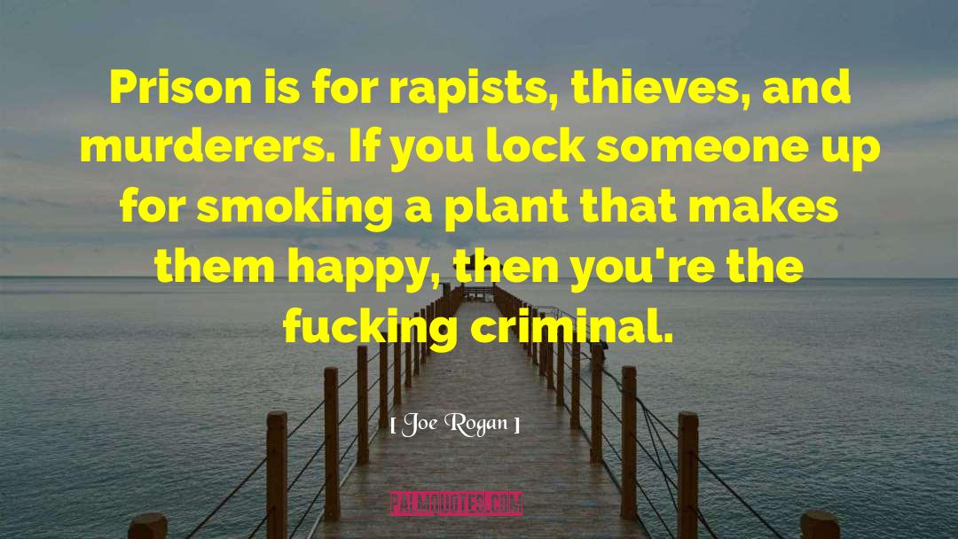 Legalization quotes by Joe Rogan