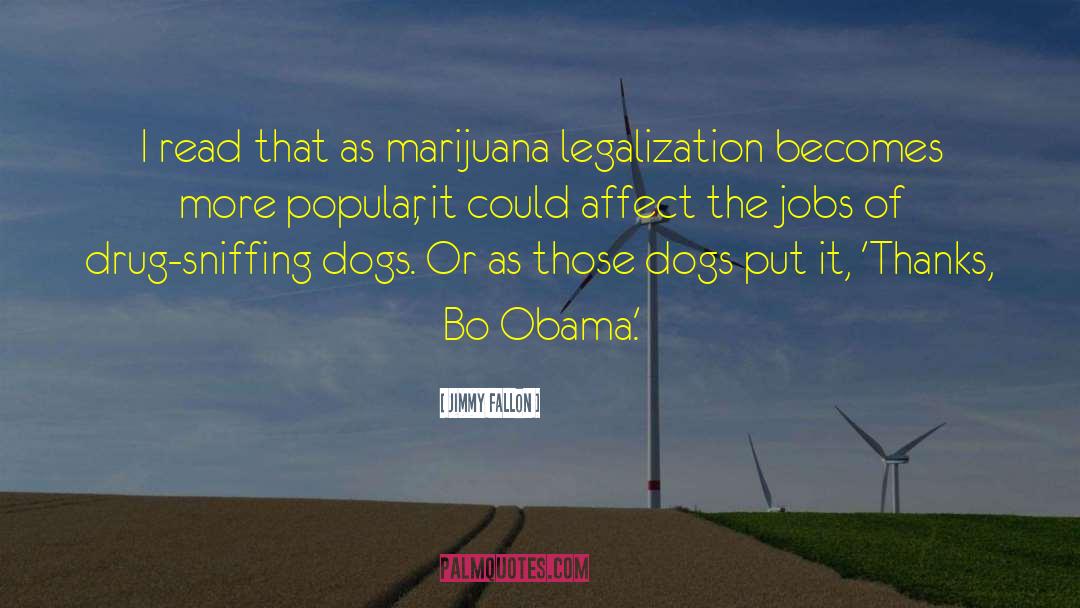 Legalization quotes by Jimmy Fallon