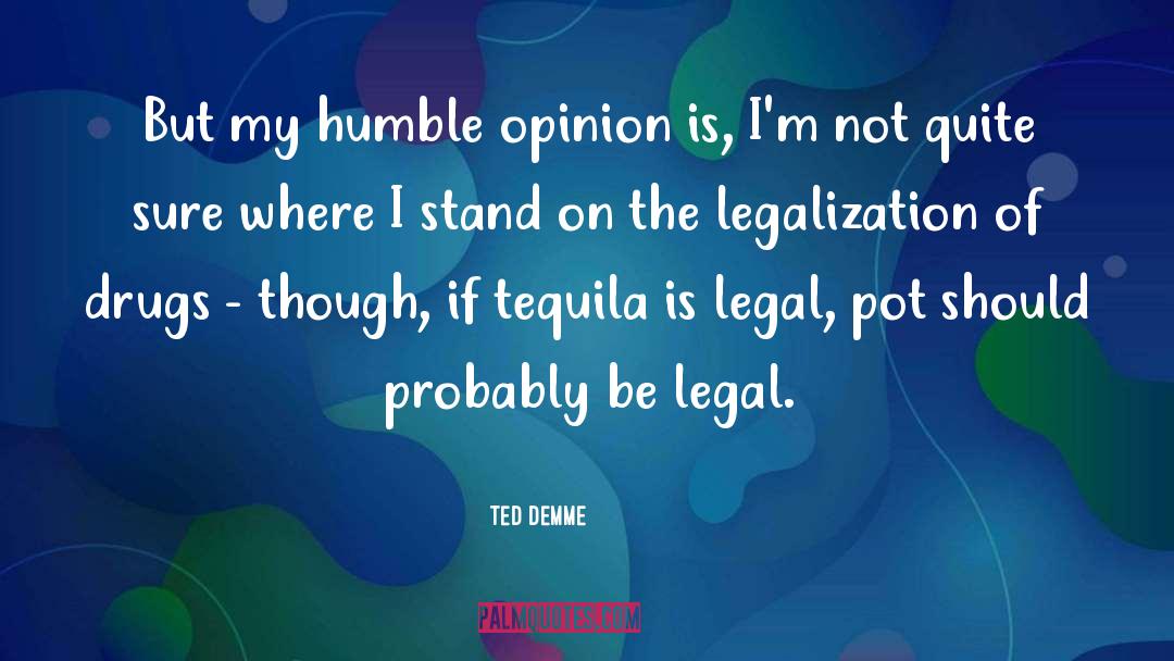 Legalization quotes by Ted Demme