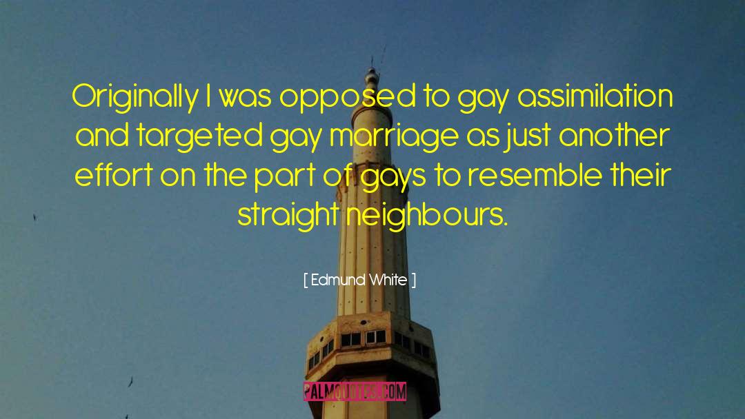 Legalizing Gay Marriage quotes by Edmund White