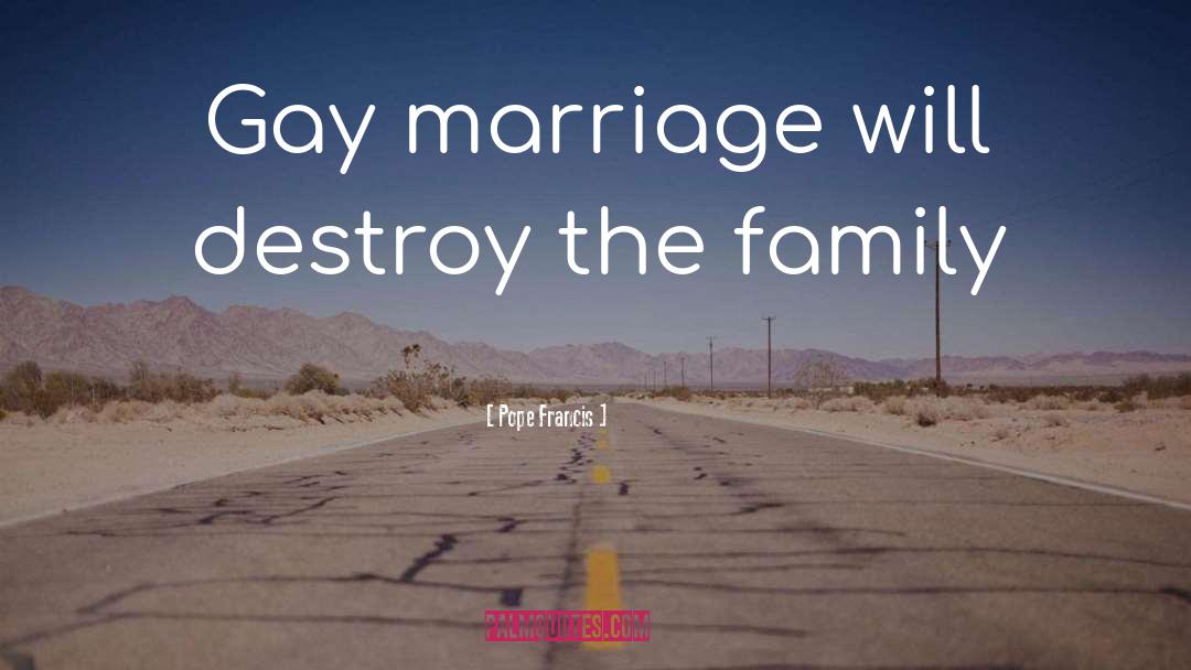Legalizing Gay Marriage quotes by Pope Francis