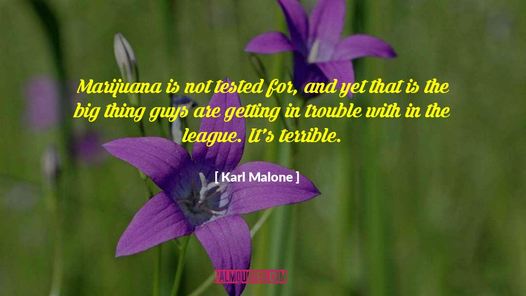 Legalizing Marijuana quotes by Karl Malone