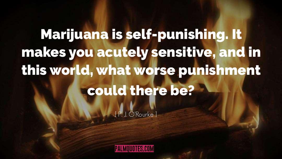 Legalizing Marijuana quotes by P. J. O'Rourke