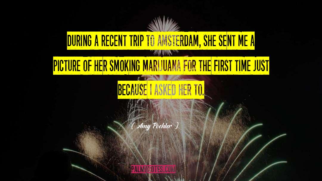 Legalizing Marijuana quotes by Amy Poehler