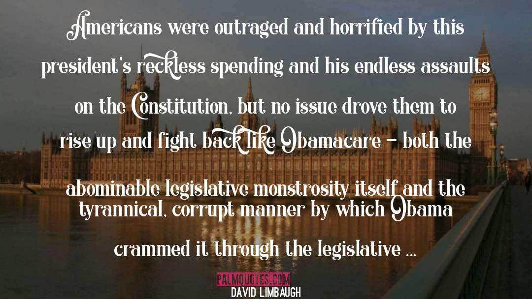 Legislative Process quotes by David Limbaugh