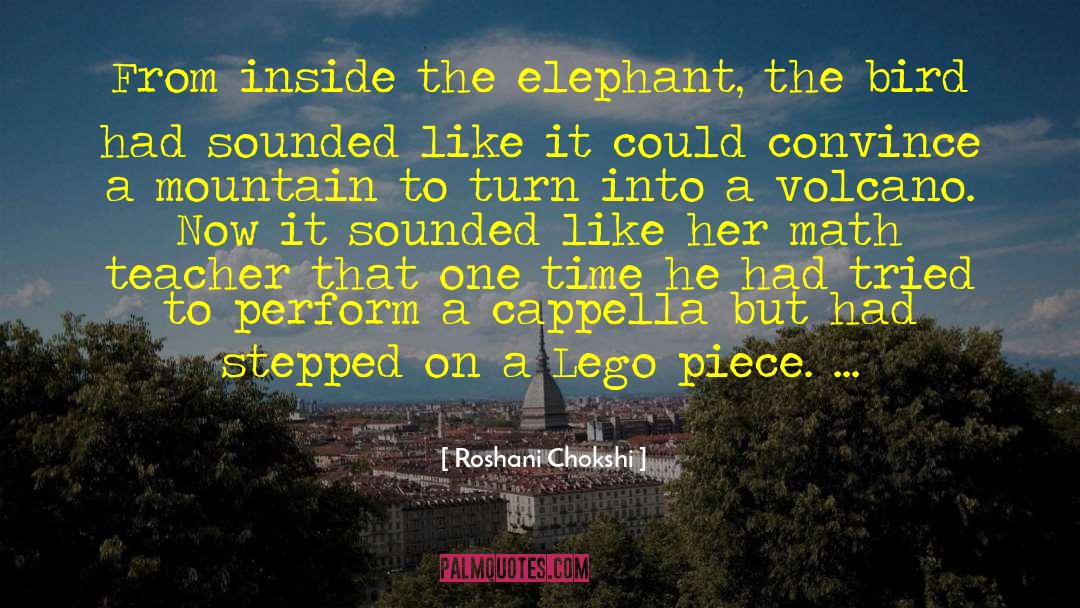 Lego quotes by Roshani Chokshi