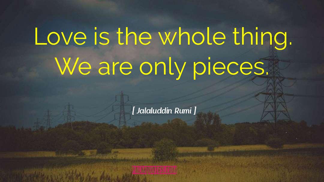 Leibniz Love quotes by Jalaluddin Rumi