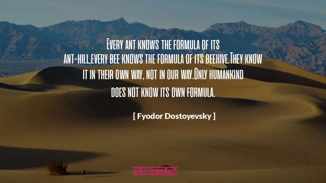 Leibnizs Formula quotes by Fyodor Dostoyevsky
