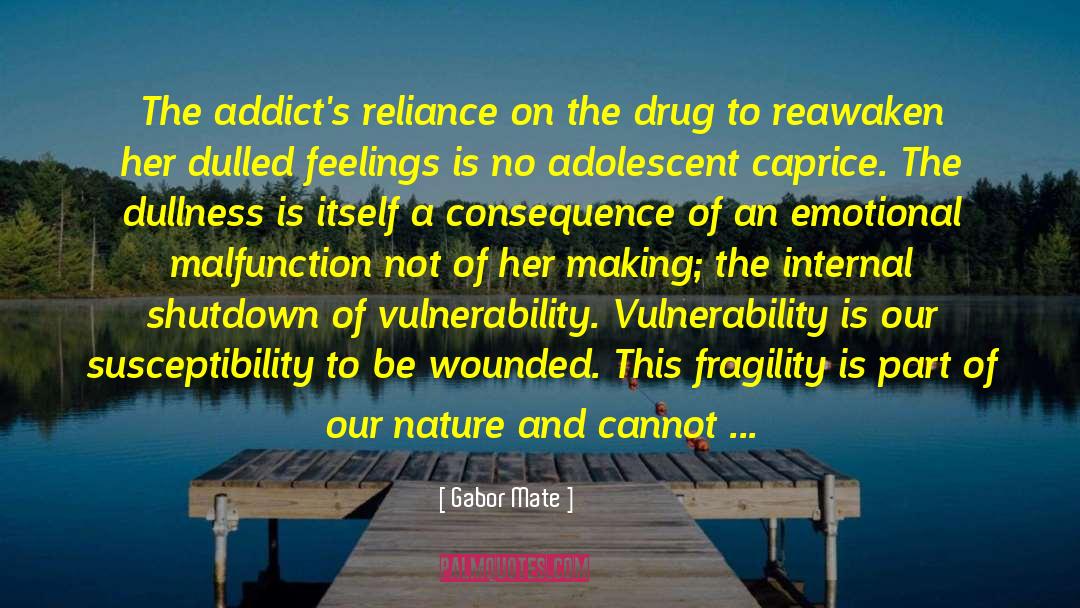 Leirich Drug quotes by Gabor Mate