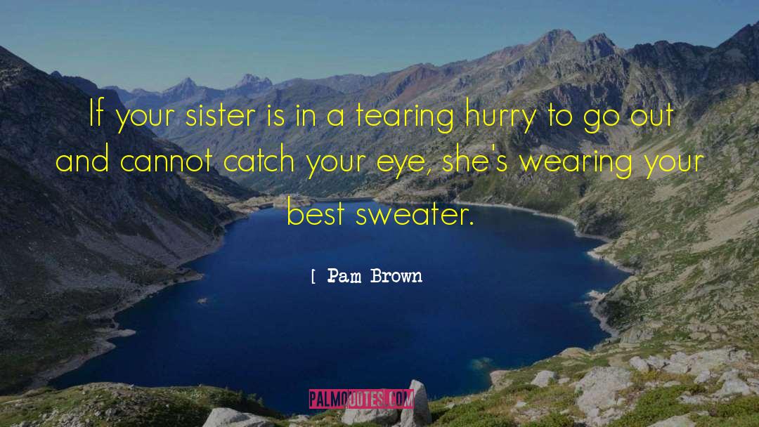 Lelion Sweater quotes by Pam Brown