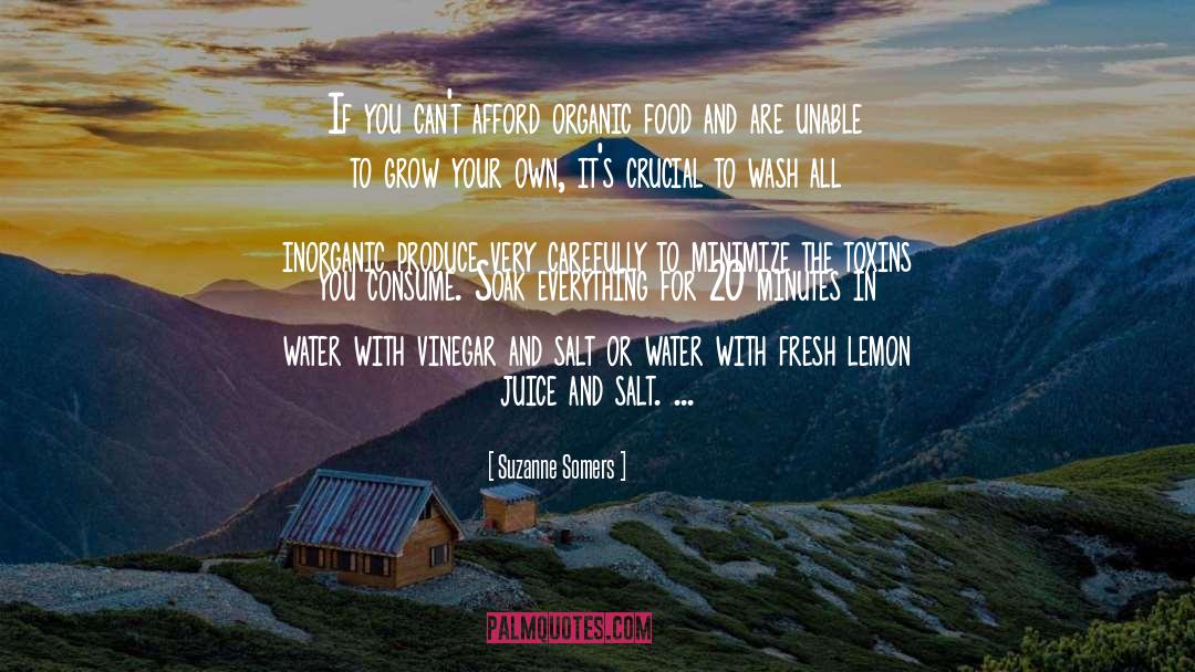 Lemon Juice quotes by Suzanne Somers