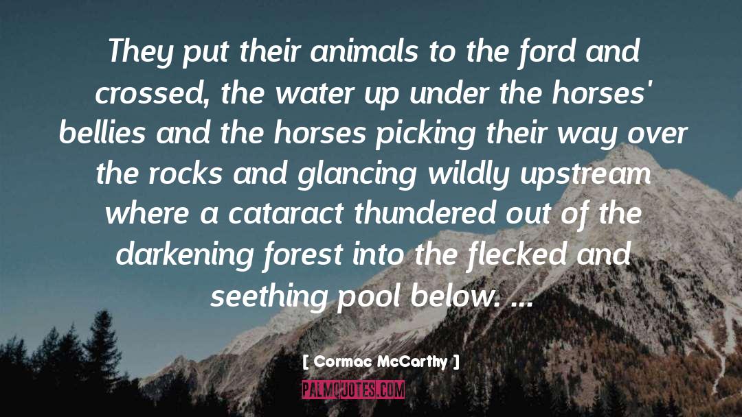 Lenain Water quotes by Cormac McCarthy