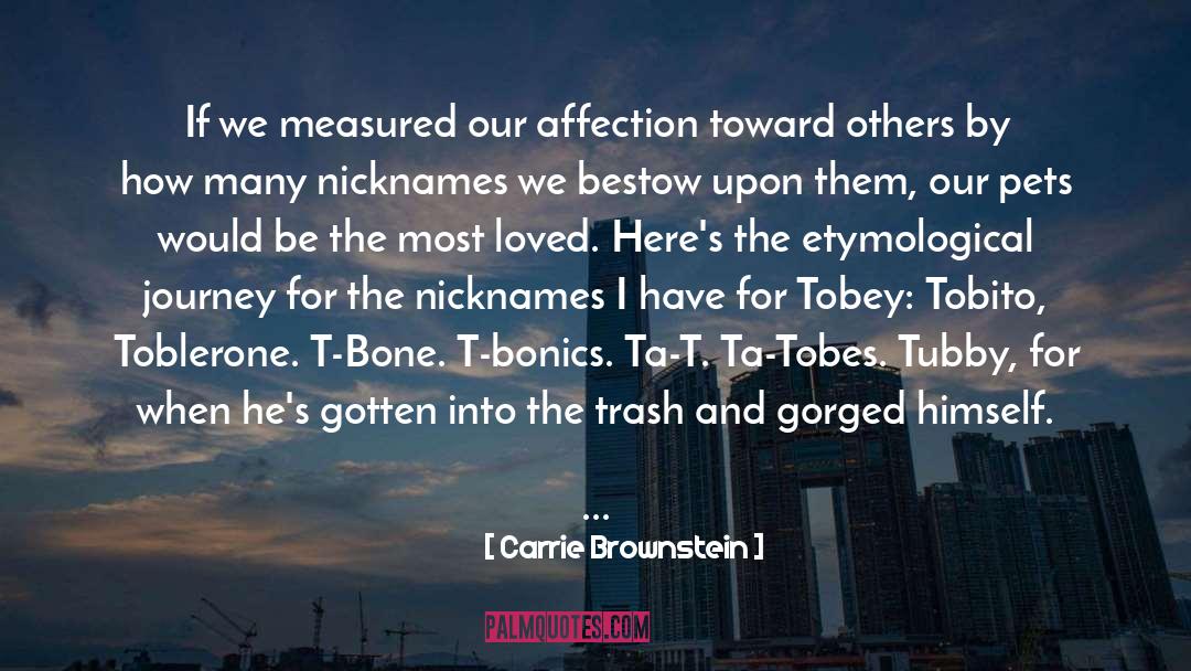 Lenience Dictionary quotes by Carrie Brownstein
