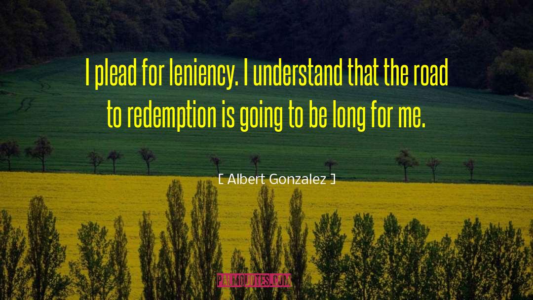 Leniency quotes by Albert Gonzalez
