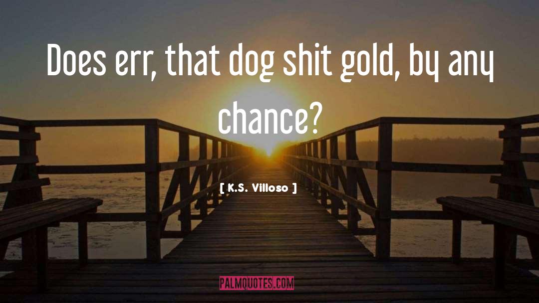 Leo S Chance quotes by K.S. Villoso