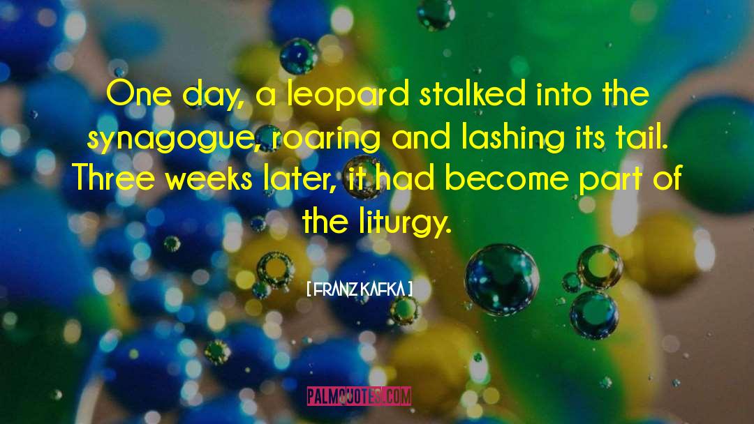 Leopard quotes by Franz Kafka