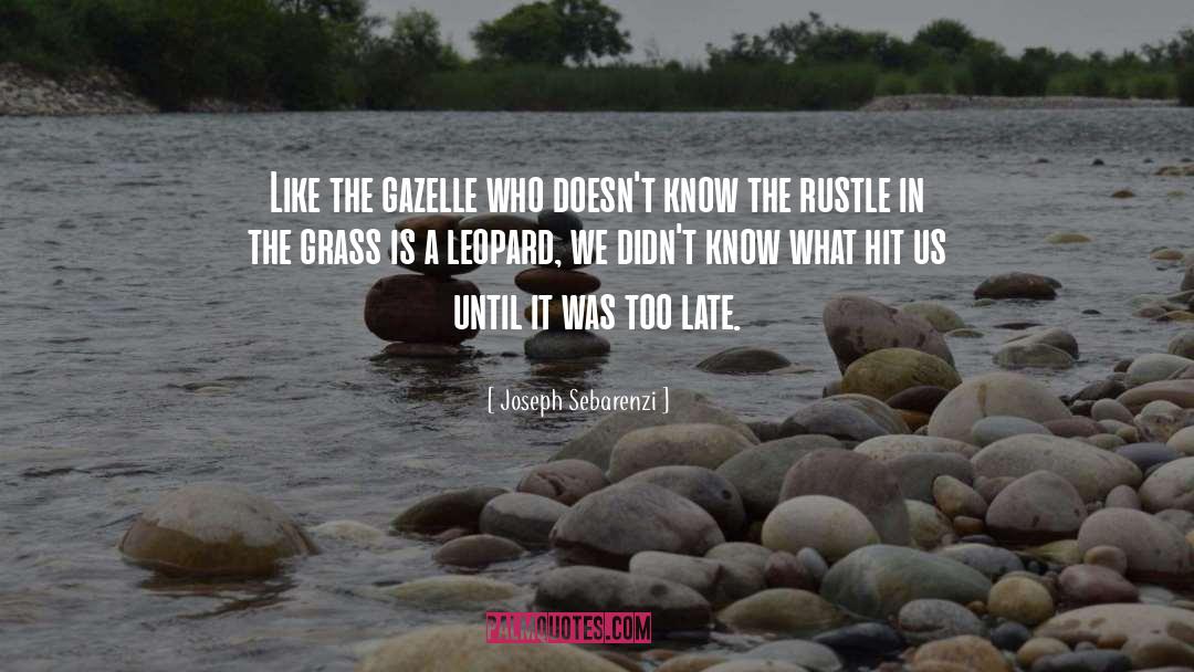Leopard quotes by Joseph Sebarenzi