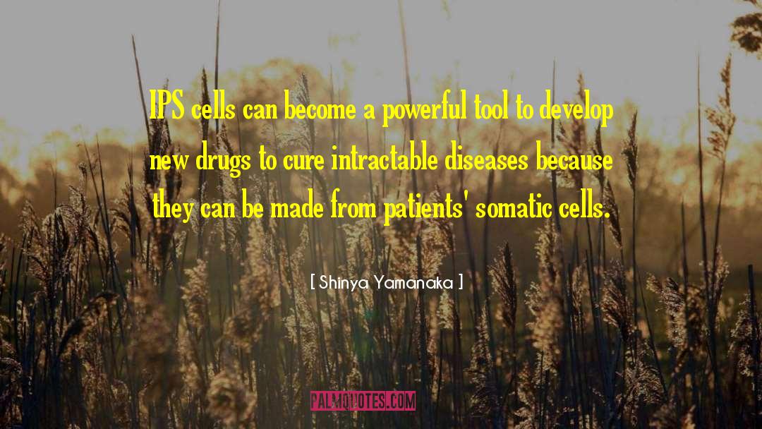 Lepra Diseases quotes by Shinya Yamanaka