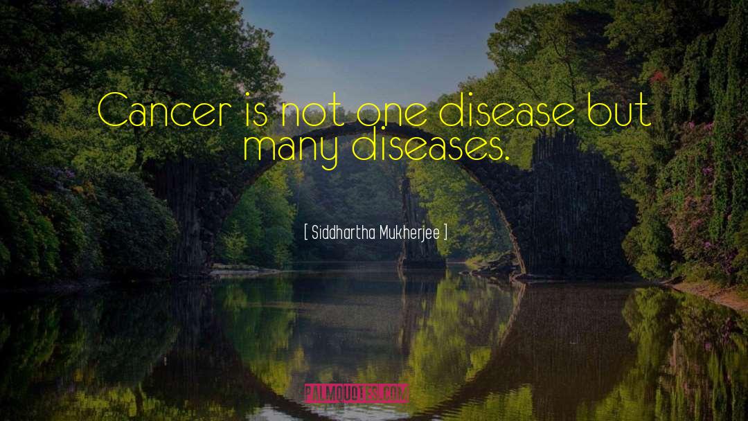 Lepra Diseases quotes by Siddhartha Mukherjee