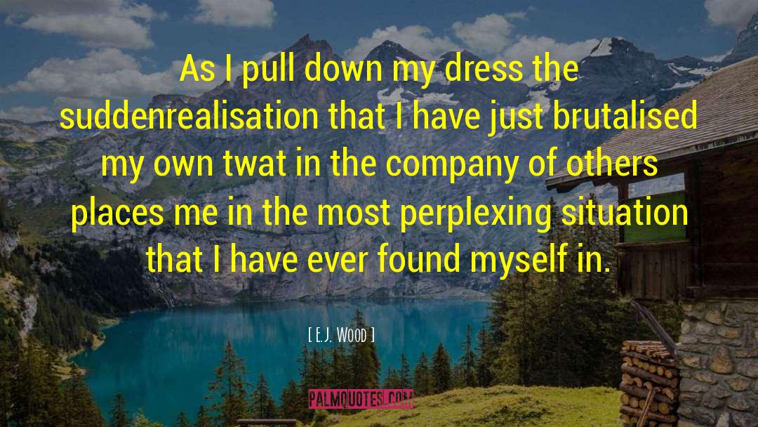 Lesbian Erotica Novel quotes by E.J. Wood