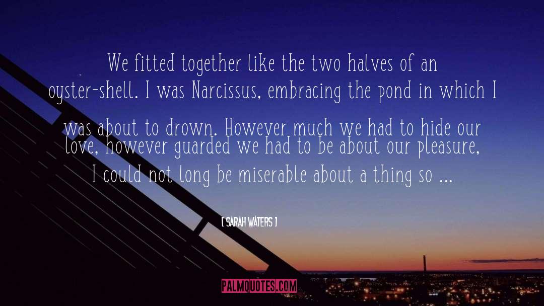 Lesbian Partners quotes by Sarah Waters
