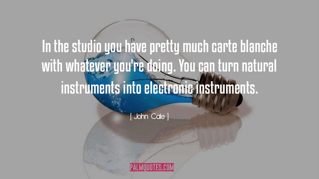 Leschinsky Studio quotes by John Cale