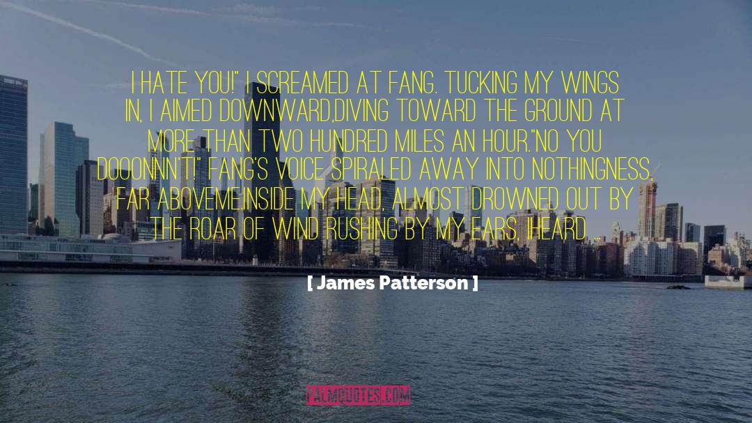 Lesinski James quotes by James Patterson