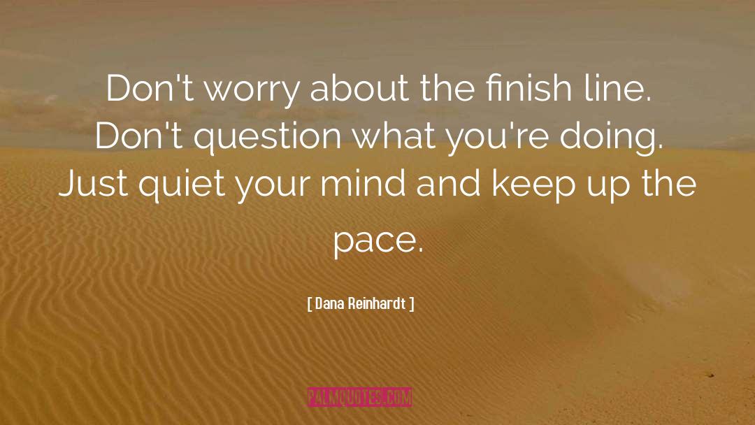 Less Worry quotes by Dana Reinhardt
