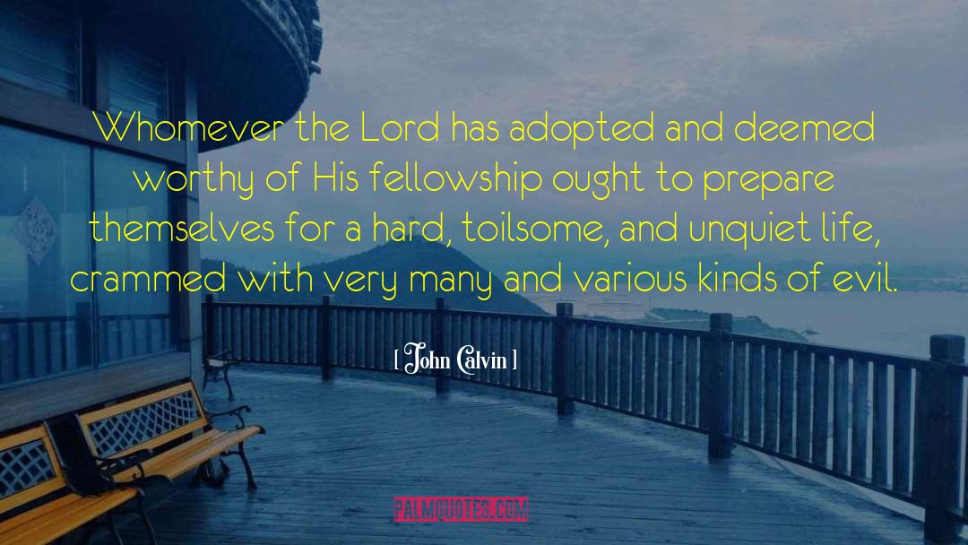 Lesser Evil quotes by John Calvin