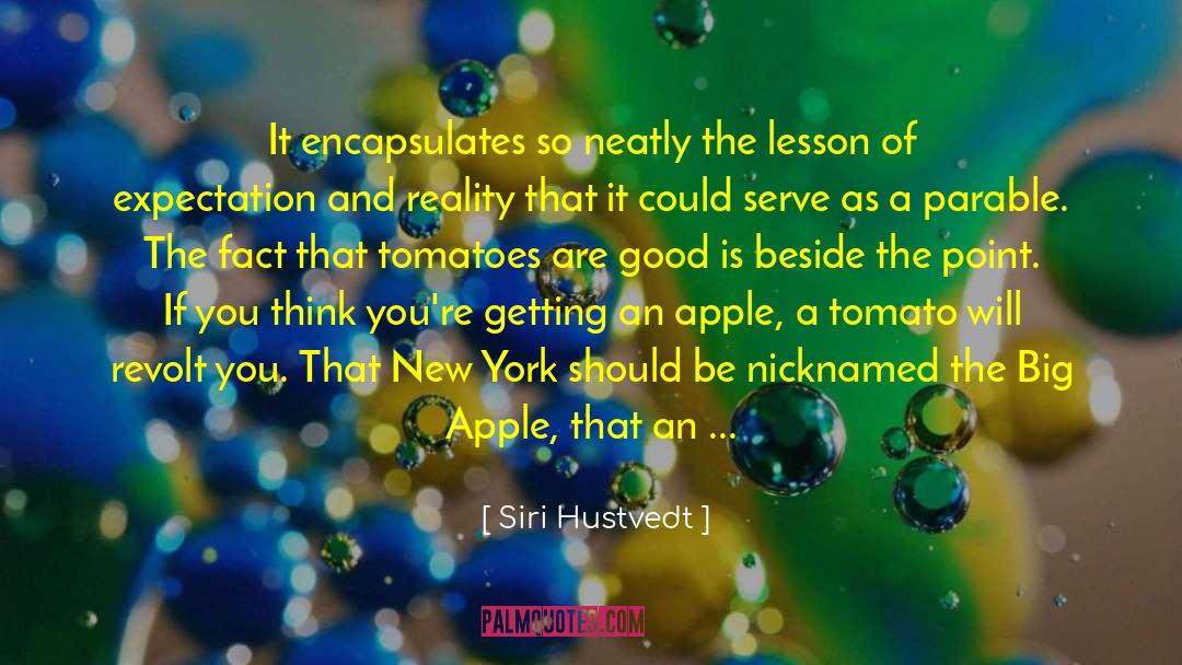 Lesson From Lossing quotes by Siri Hustvedt