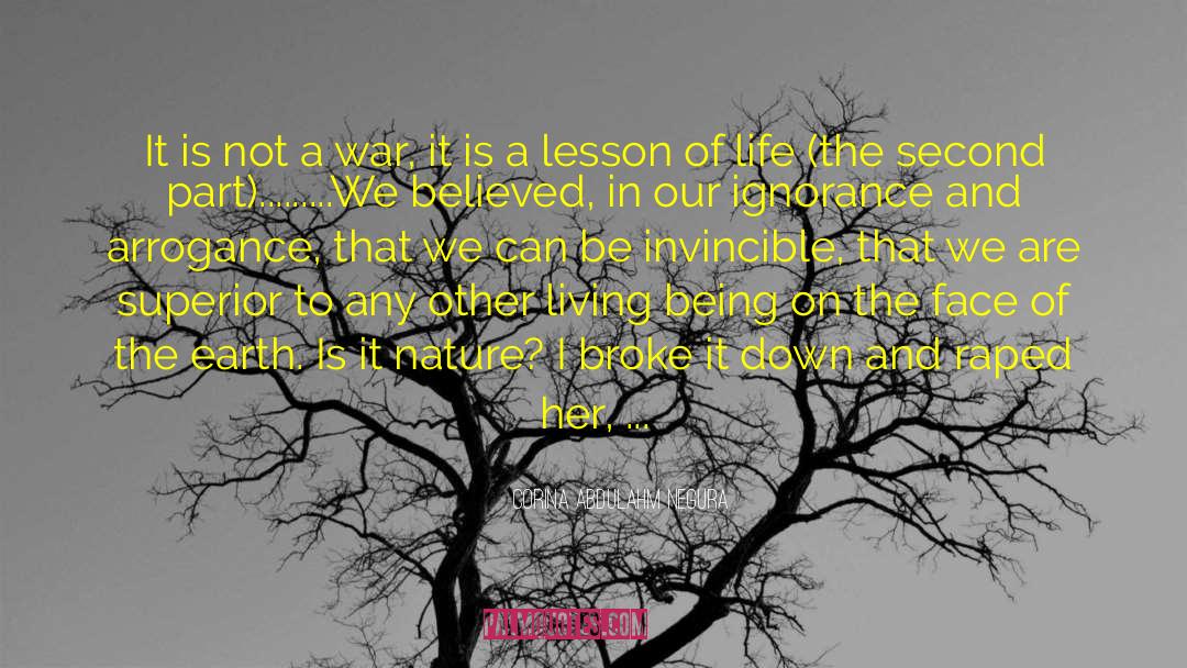 Lesson Of Life quotes by Corina Abdulahm Negura