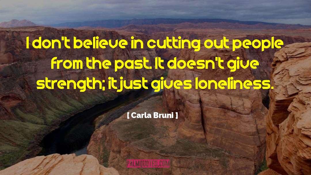 Lessons From The Past quotes by Carla Bruni