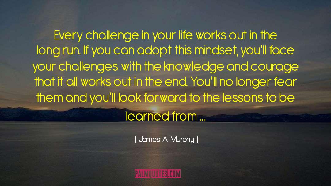 Lessons To Be Learned quotes by James A. Murphy