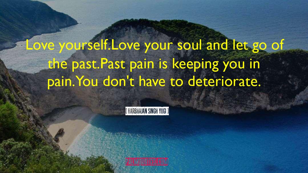 Let Go Of The Past quotes by Harbhajan Singh Yogi