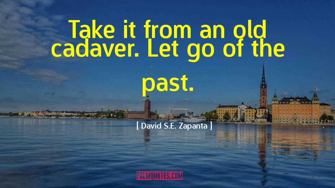 Let Go Of The Past quotes by David S.E. Zapanta