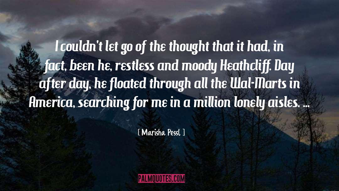 Let Go quotes by Marisha Pessl