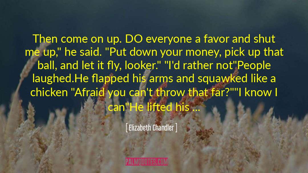 Let It Fly quotes by Elizabeth Chandler